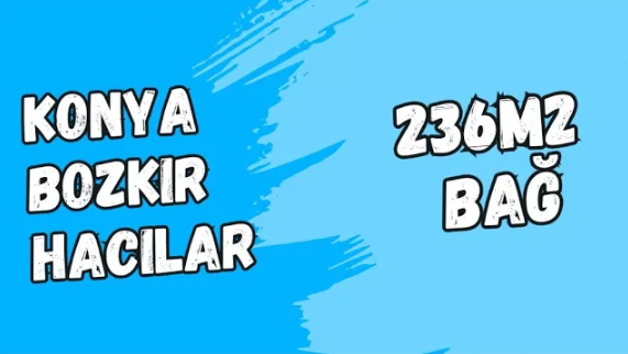 Fotoğraf